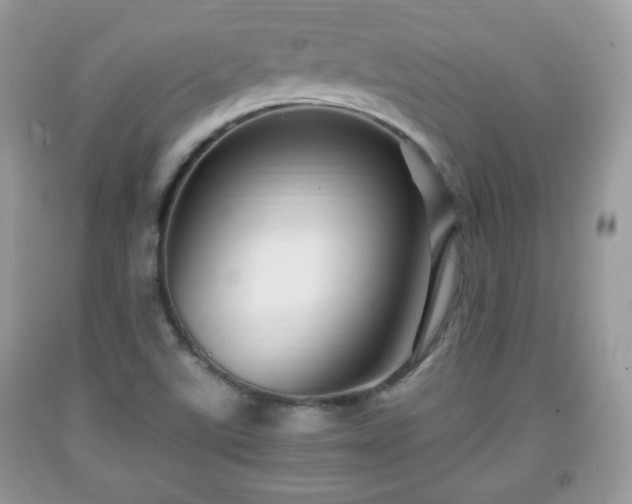 X0000091961507200709131215