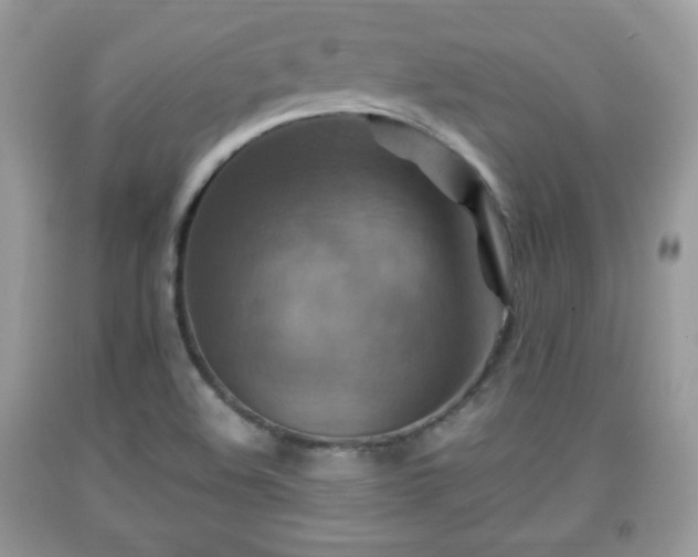 X0000091961508200709131216