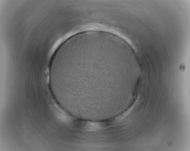 X0000091961509200709131216