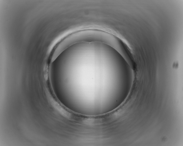 X0000091961510200709131216