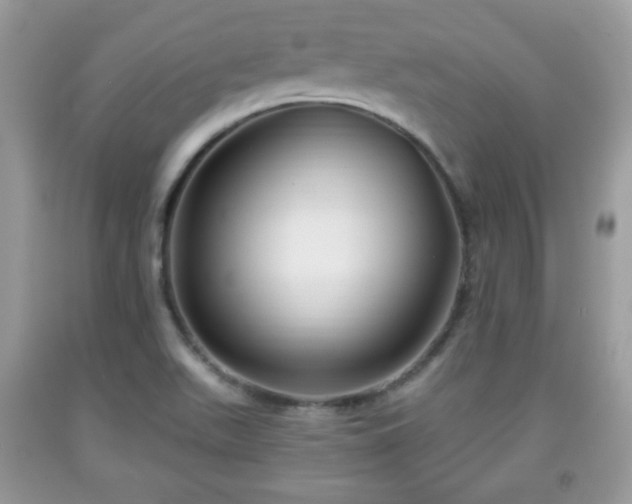 X0000091961511200709131216