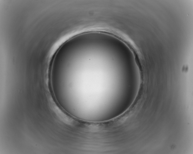 X0000091961512200709131216