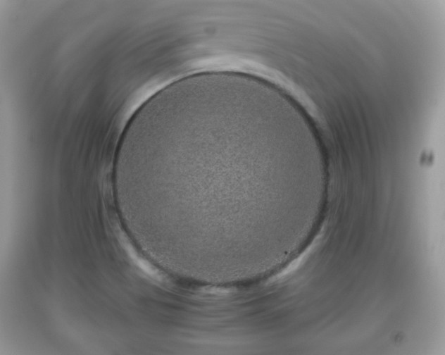 X0000091961513200709131216