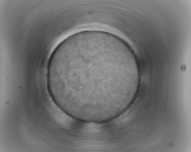 X0000091961514200709131216