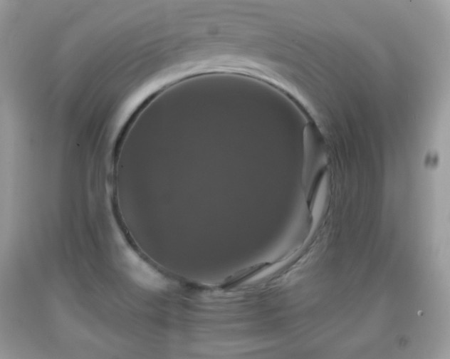 X0000091961515200709131216