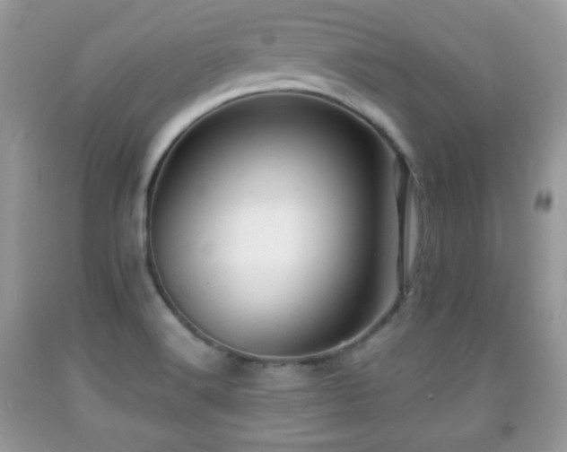 X0000091961516200709131216