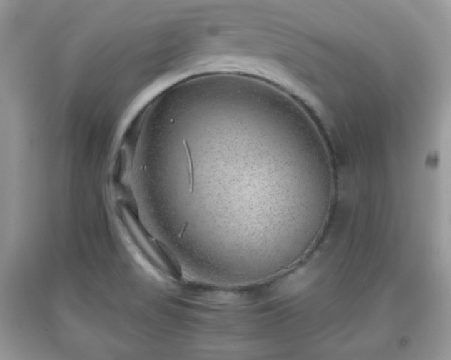 X0000091961517200709131216