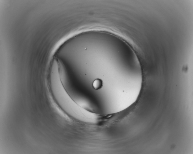 X0000091961518200709131216