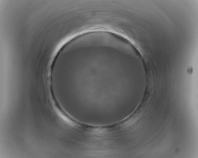 X0000091961519200709131216