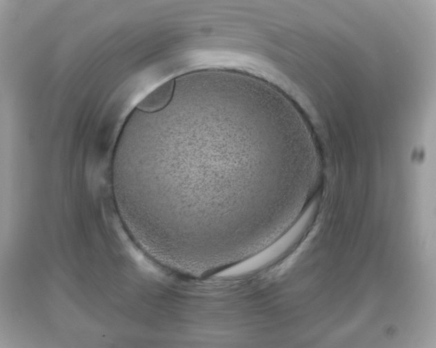 X0000091961521200709131216