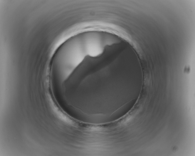 X0000091961522200709131216