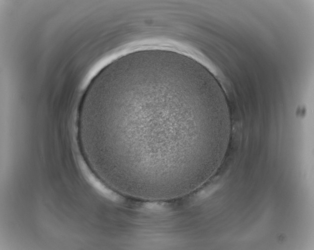 X0000091961523200709131216