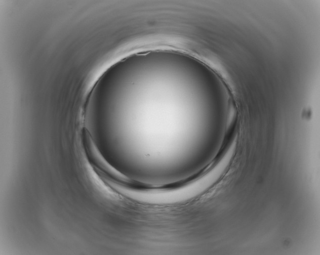 X0000091961524200709131216