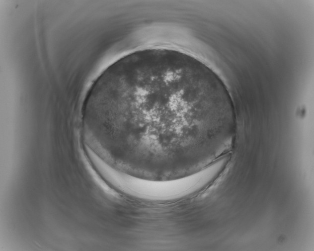 X0000091961525200709131216