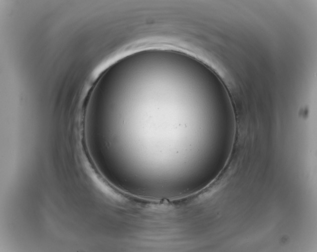 X0000091961526200709131216