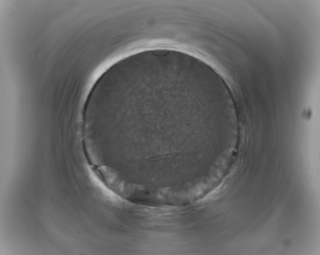 X0000091961527200709131216