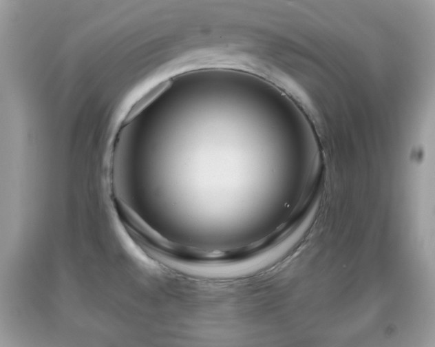 X0000091961528200709131216