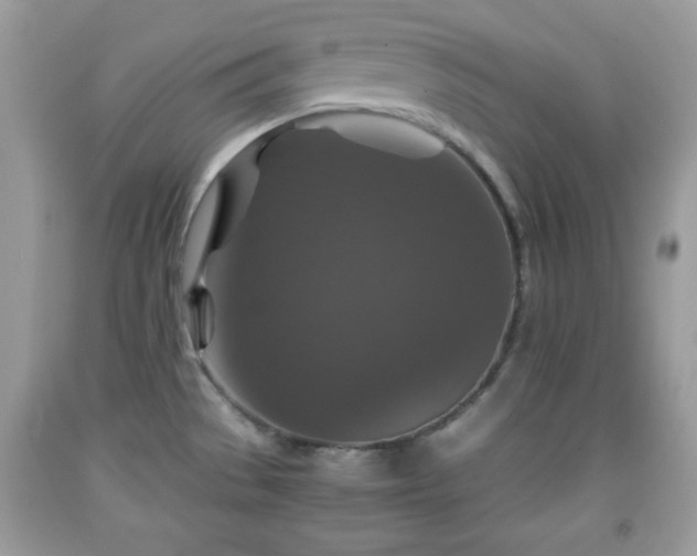 X0000091961529200709131216