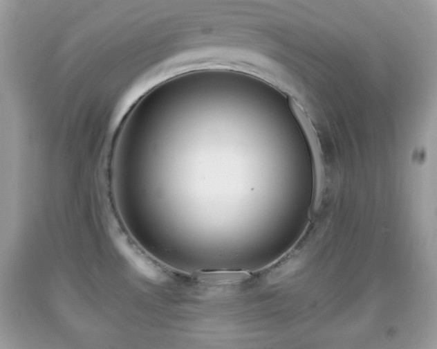 X0000091961530200709131216