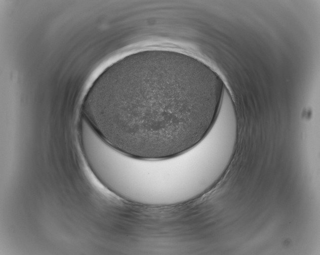 X0000091961531200709131216