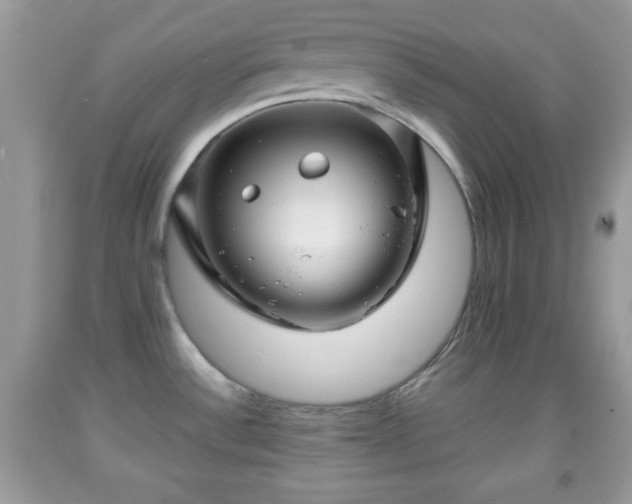 X0000091961532200709131216