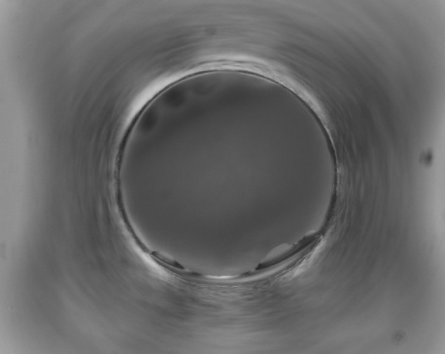 X0000091961533200709131216