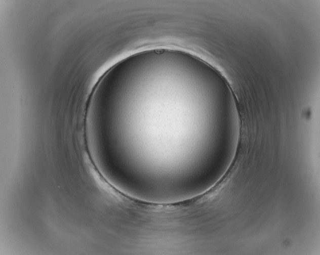 X0000091961534200709131216