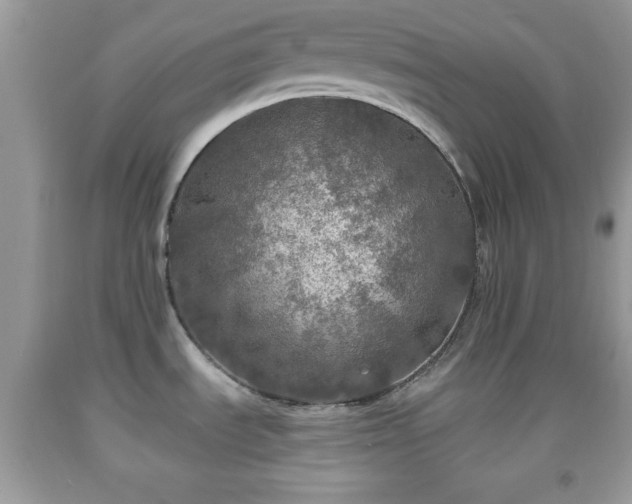 X0000091961535200709131216