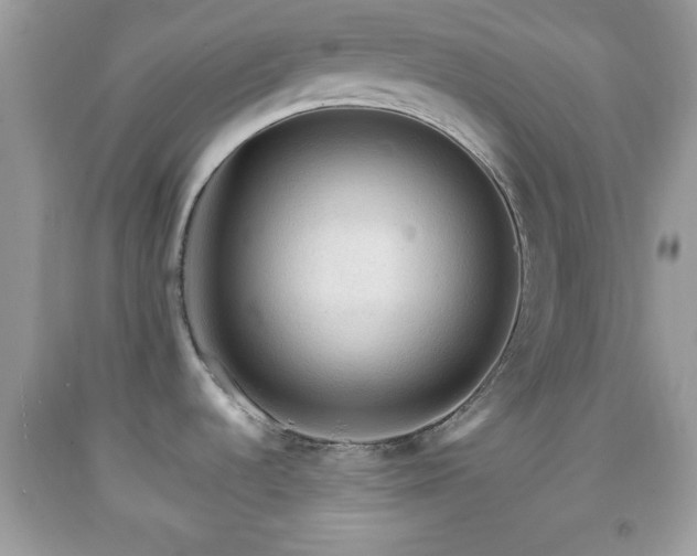 X0000091961536200709131216