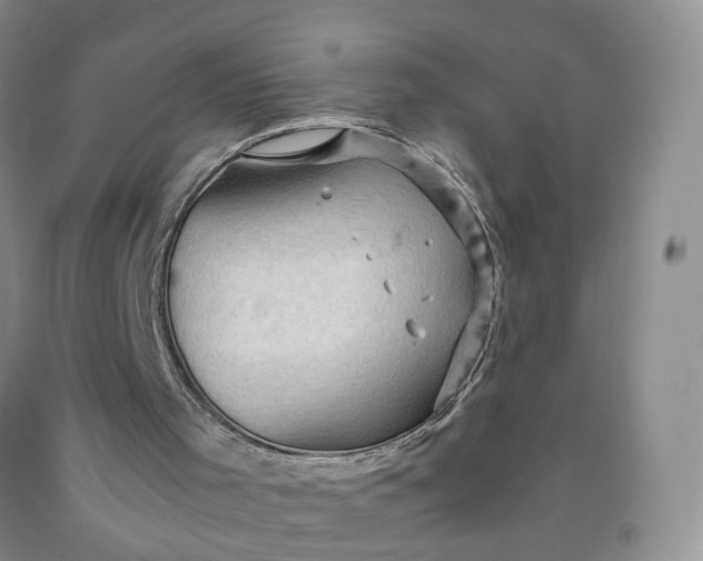 X0000091960001200709201354