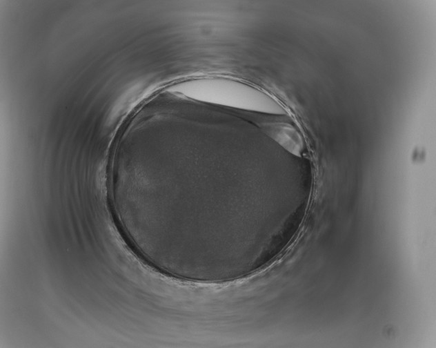 X0000091960002200709201354