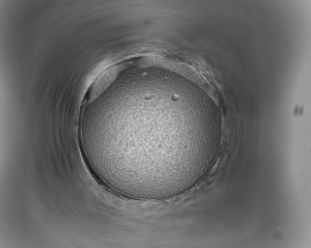 X0000091960003200709201354