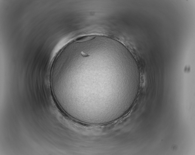 X0000091960004200709201354