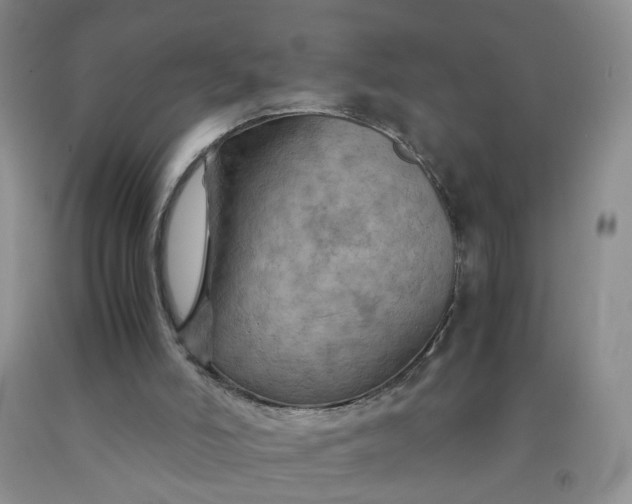 X0000091960006200709201354