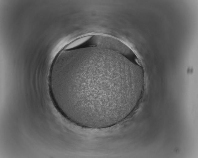 X0000091960007200709201354