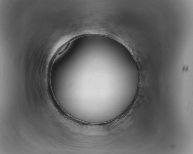 X0000091960008200709201354