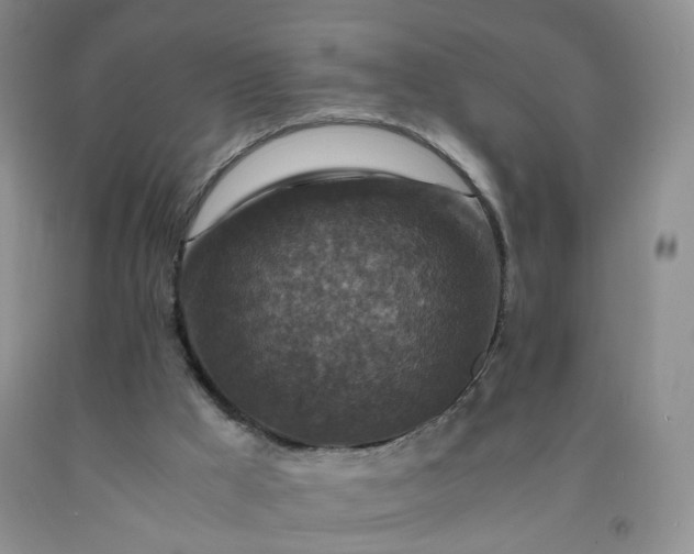 X0000091960009200709201354