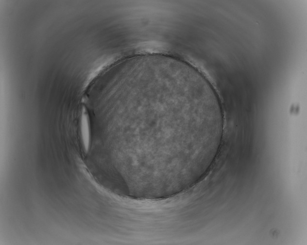 X0000091960010200709201354