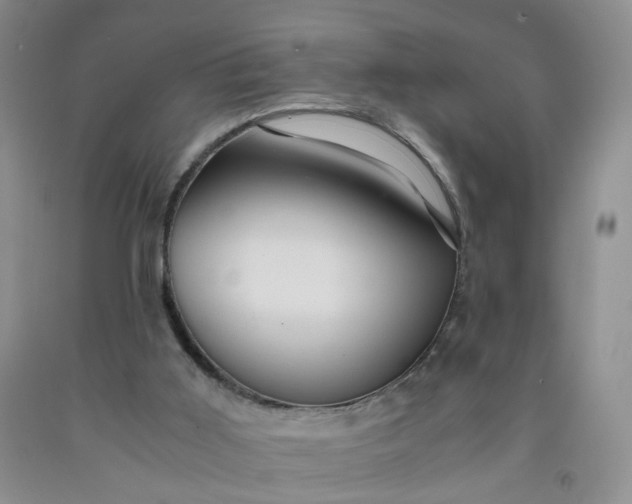 X0000091960011200709201354