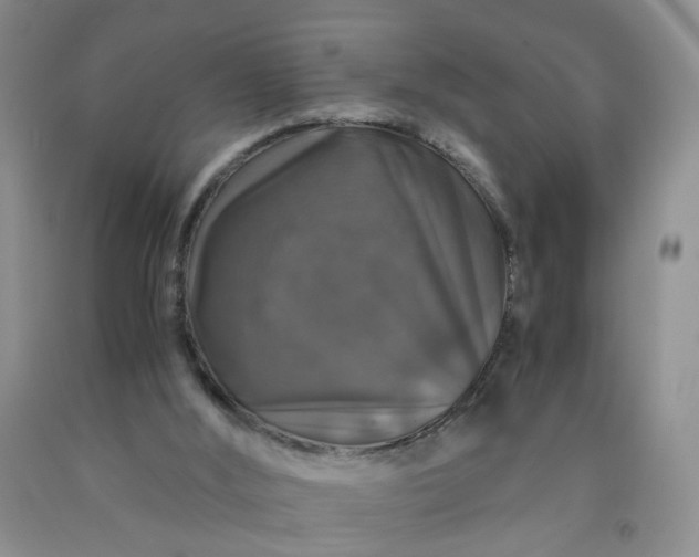 X0000091960012200709201354