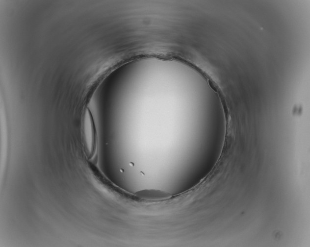 X0000091960013200709201354