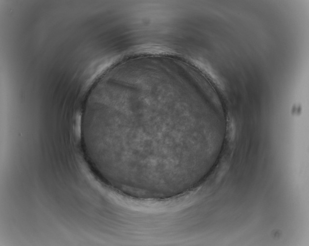 X0000091960014200709201354