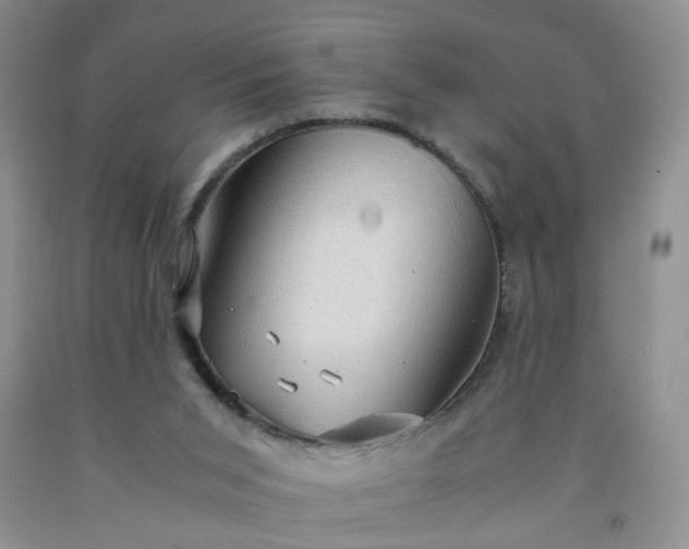 X0000091960015200709201354