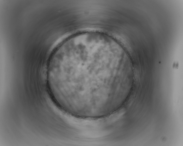 X0000091960016200709201354