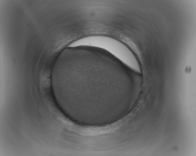 X0000091960017200709201354