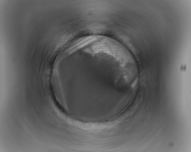 X0000091960018200709201354