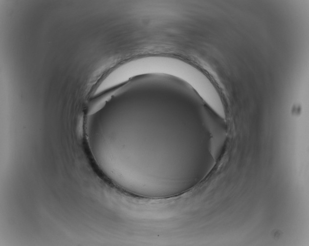 X0000091960019200709201354