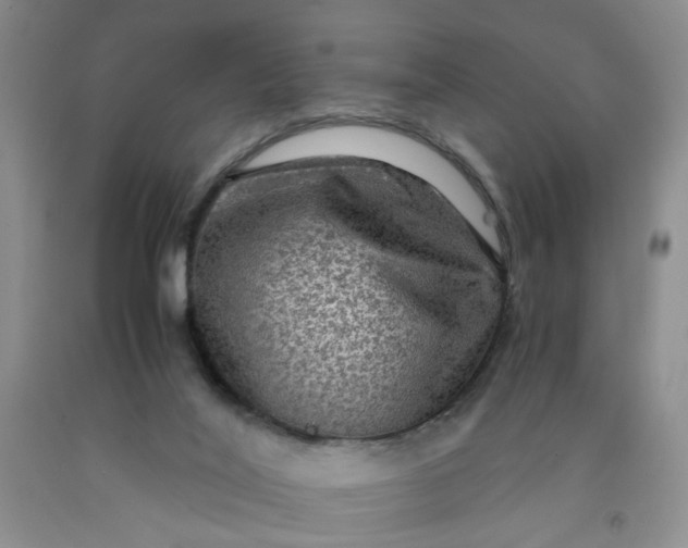 X0000091960020200709201354