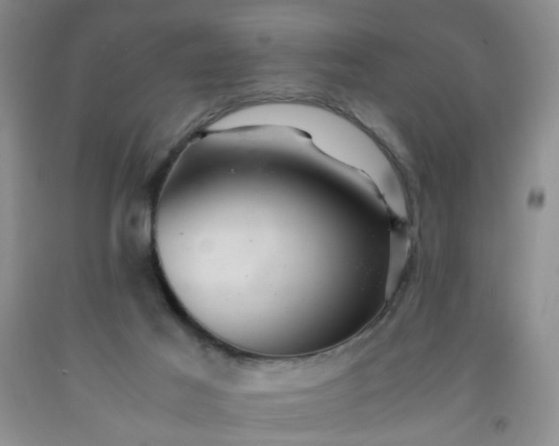 X0000091960021200709201353