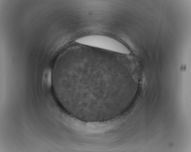 X0000091960022200709201353